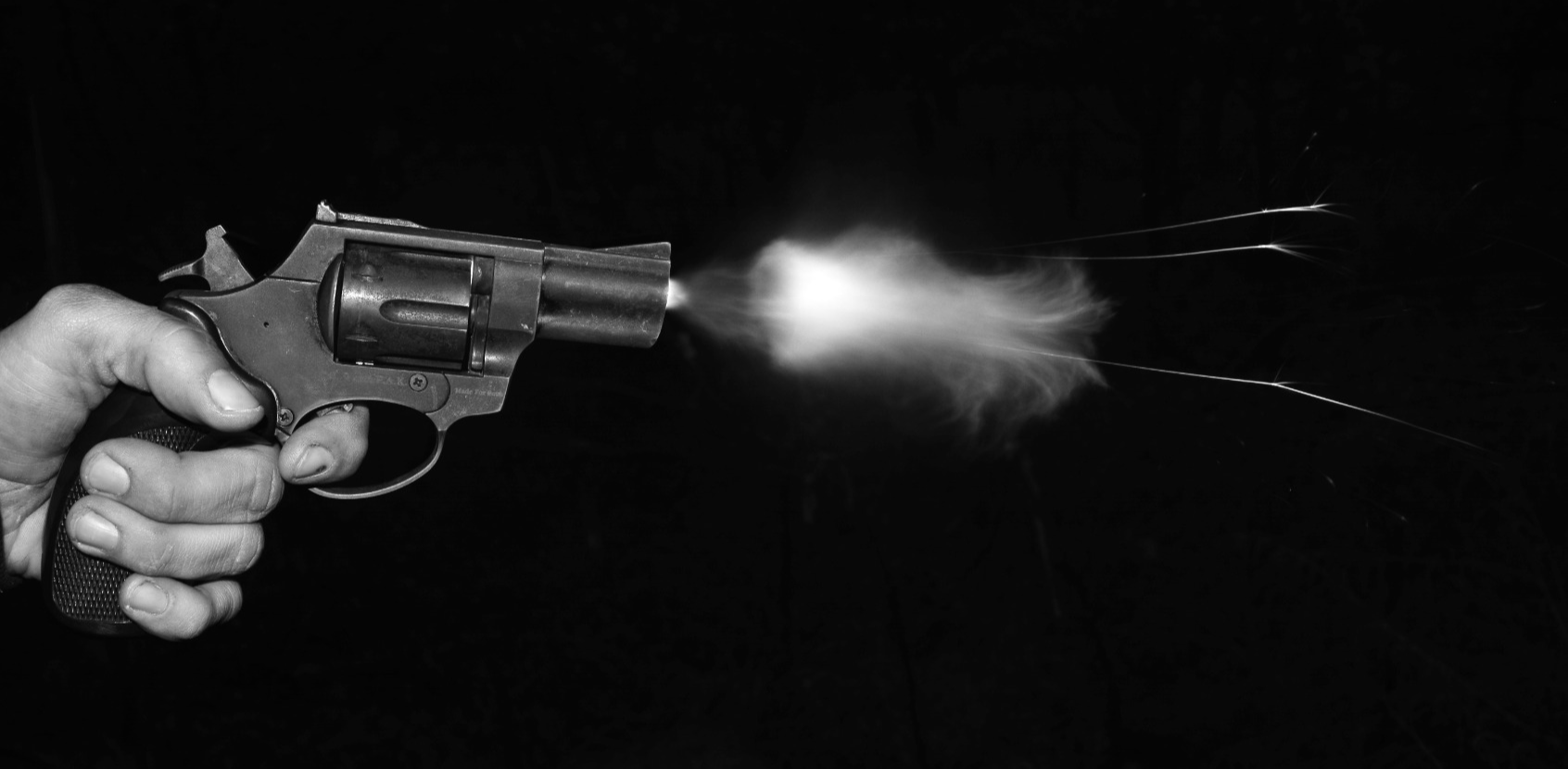 Gun & Firearm Charge Lawyer image